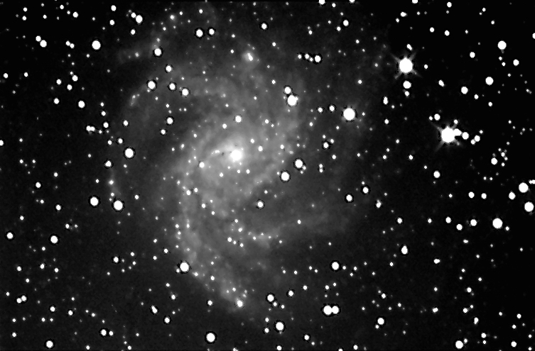 NGC 6946 350mm f4,4 04.09.05 25x70s.Platinum.jpg